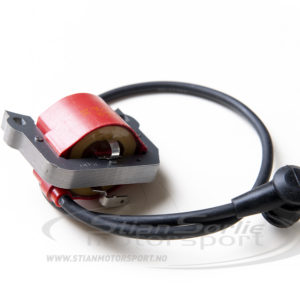 COIL - IAME PARILLA NORSWIFT MINI 2020 13.500 RPM