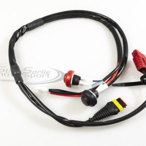 LEDNINGSNETT - IAME PARILLA X30 og X30 SUPER FOM 2020