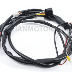 LEDNINGSNETT - IAME PARILLA X30 UTGÅENDE