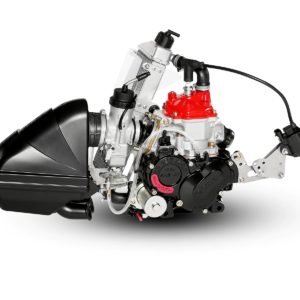 ROTAX MAX EVO 125 JUNIOR - KOMPLETT MOTORPAKKE